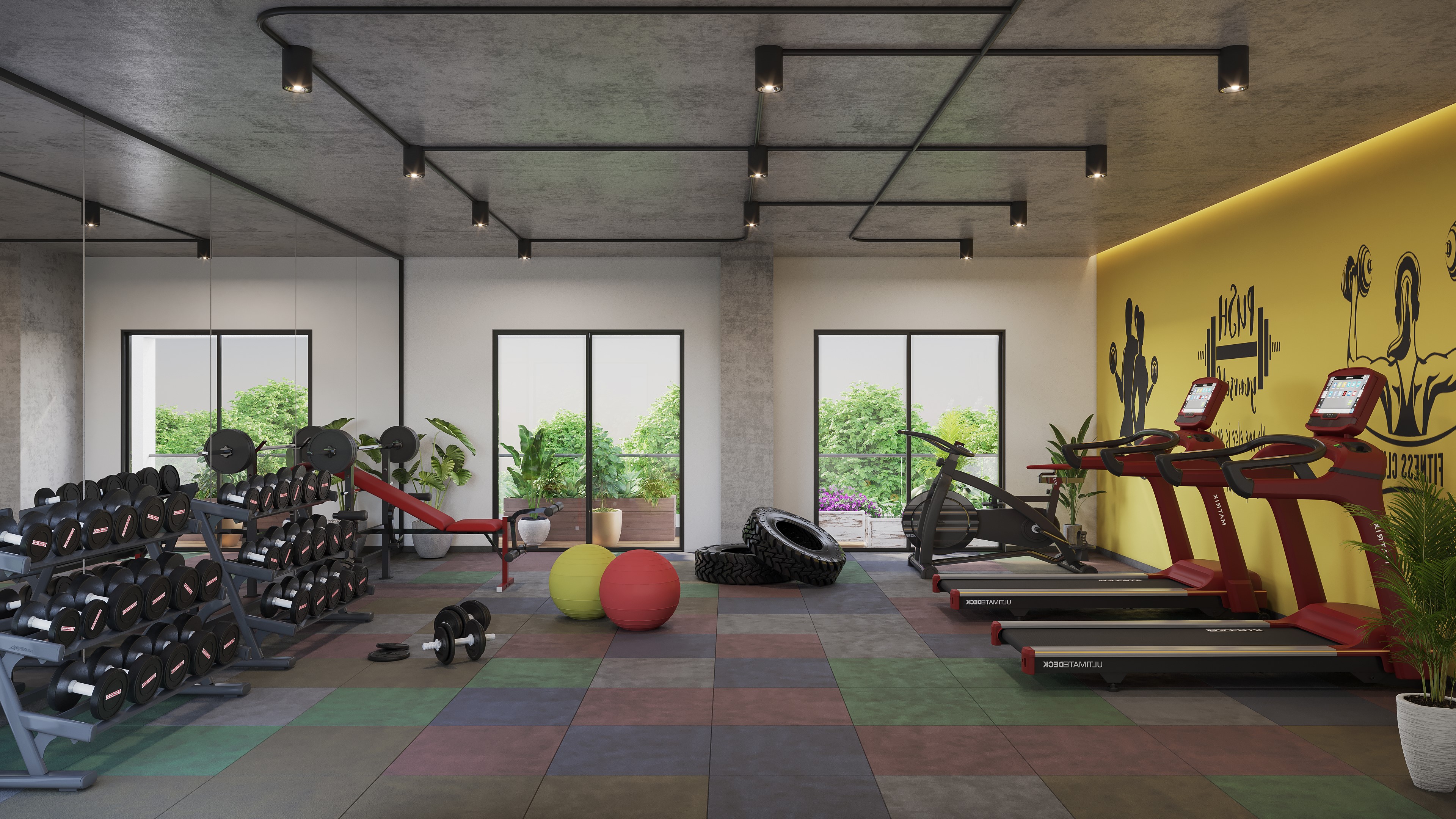 Modern Gymnasium